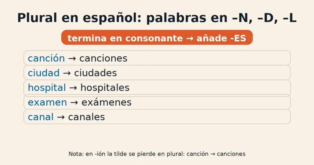 “Infografía: plural en español de palabras terminadas en N, D y L — canción→canciones, ciudad→ciudades, hospital→hospitales; regla: añadir -ES.”